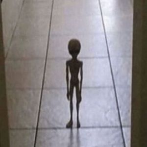 Meet your Posher, Ava